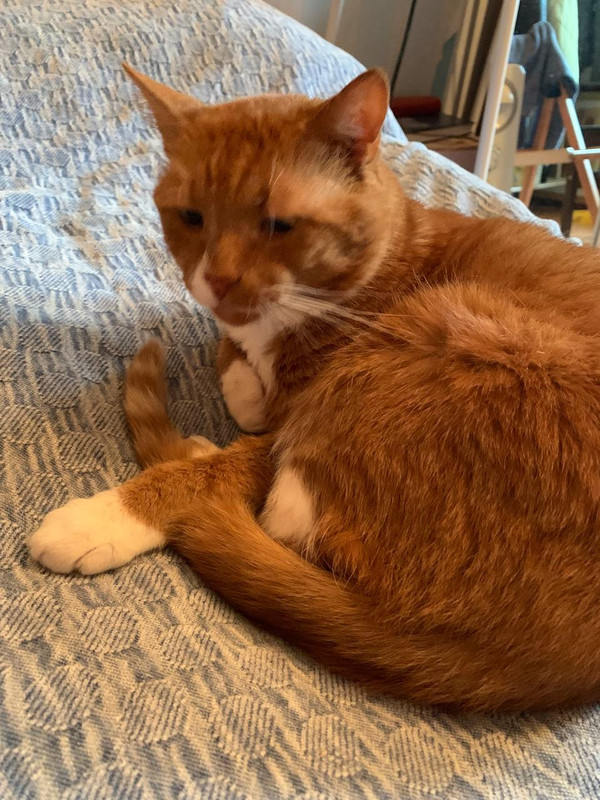 CD982CA7-1137-4EF1-9FCE-519A17F4BE24