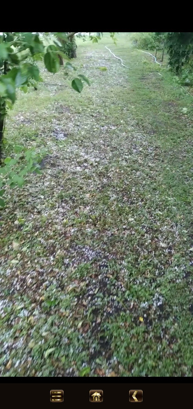 Screenshot_2025-06-01-16-48-19-381_com.miui.videoplayer