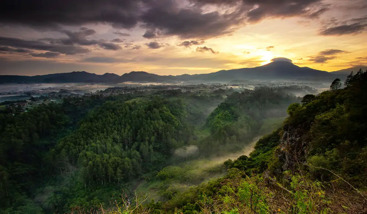 Taman Hutan Raya Ir. H. Djuanda, Spot Foto Alam yang Kekinian