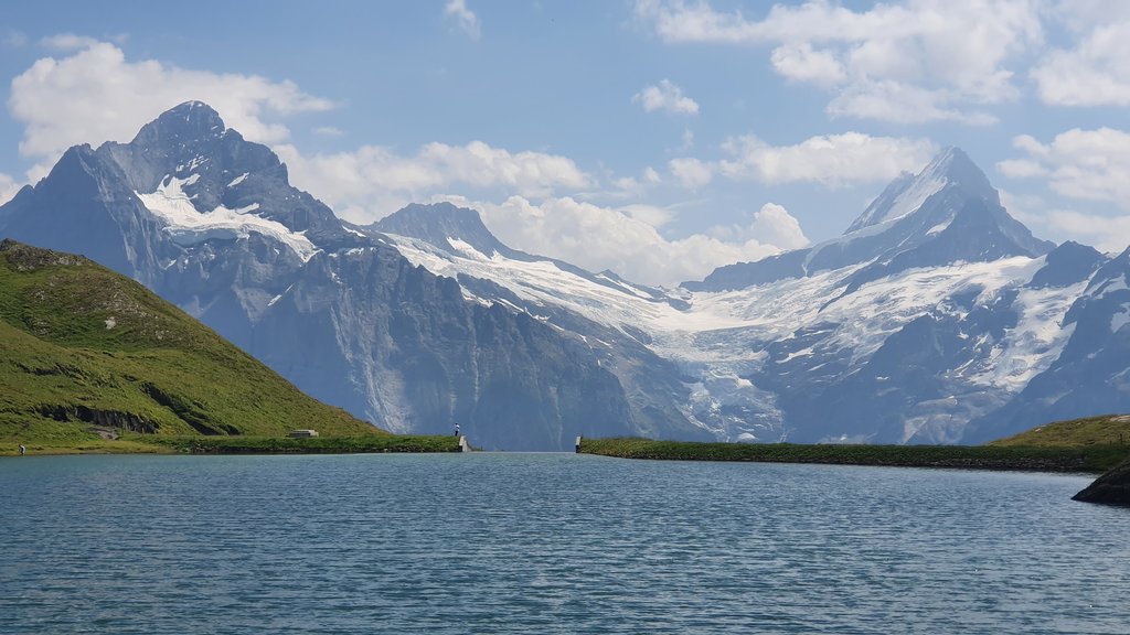 SUBIDA AL FIRST- LAGO BACHALPSEE- BAJADA EN TROTIBIKE - 50 sombras del verde en Suiza y Alemania (3)