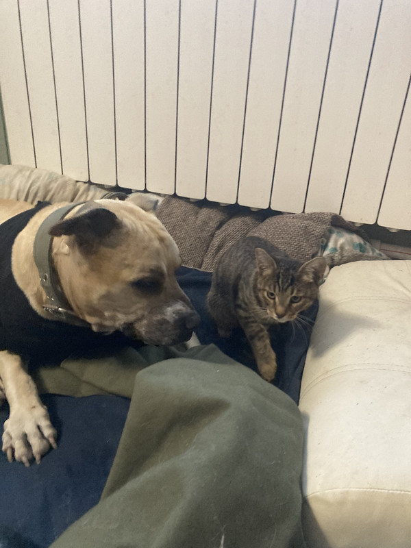 A0527189-F5BD-4D6C-836C-2D6190164FEF