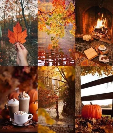Fall-collage2