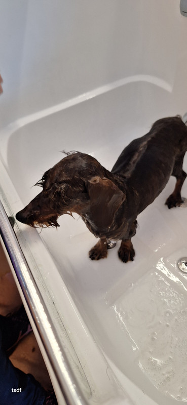 [Image: 20250305-142019.jpg]