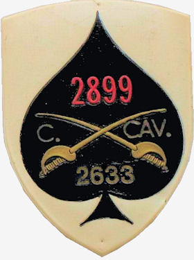 CCav2633