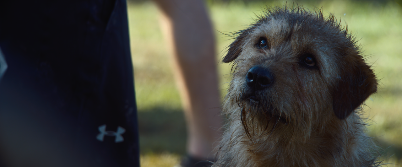 mpv-shot_Arthur.The.King.2024.2160p.WEB-DL.DV.HDR10.PLUS.HEVC-Нечипорук_00_34_10_0006