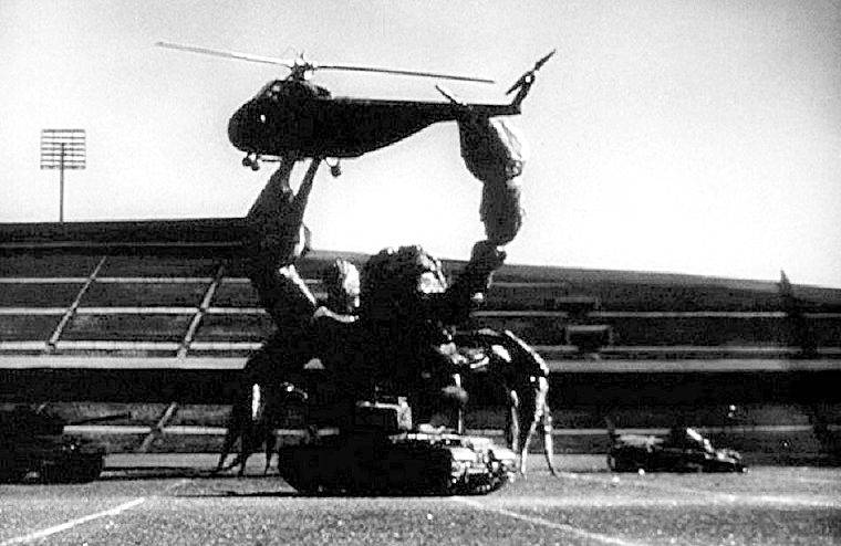 MARA-CORDAY-BLACK-SCORPION-2-A-FOTOR.jpg