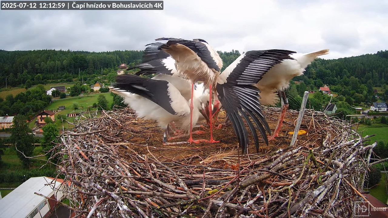 Živě z čapího komína firmy KARA v Bohuslavicích u Trutnova 13-22-8 screenshot