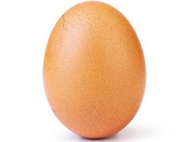 Instagram появился новый снимок яйца-рекордсмена