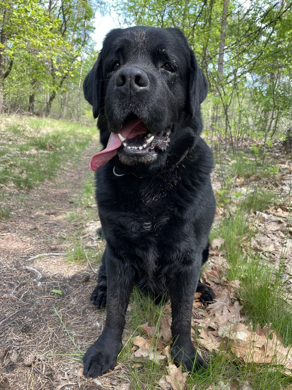 56F6BD72-7F97-4448-BF57-81C40950ABFB