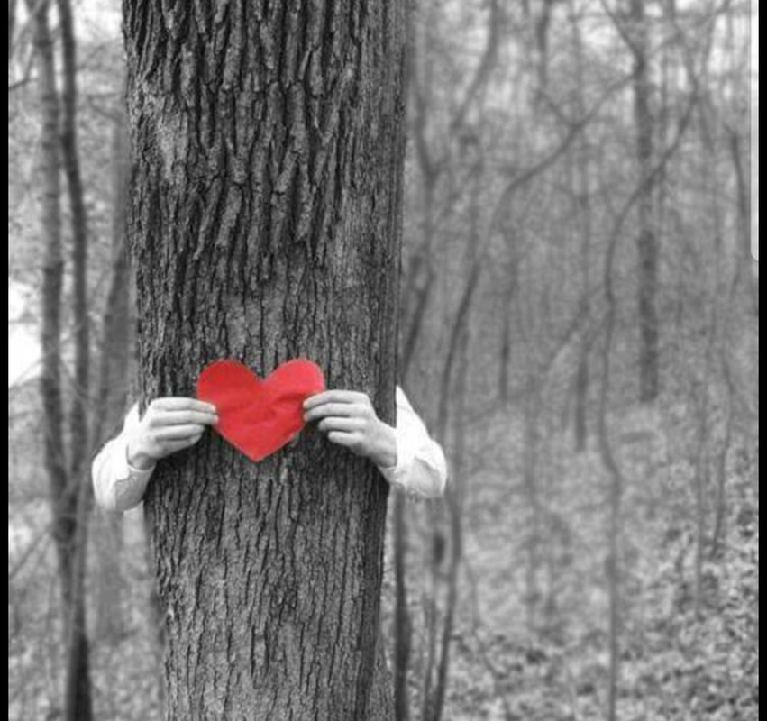 Screenshot_20251004_185809_Pinterest