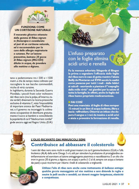 Sal Nat Lug 2021 (6)