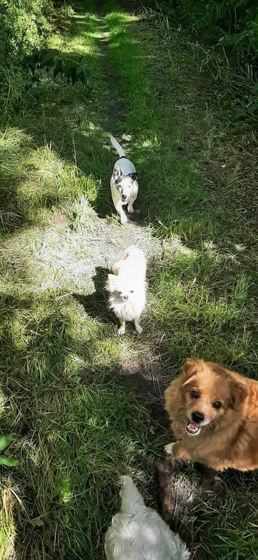 FB_IMG_1624423034706