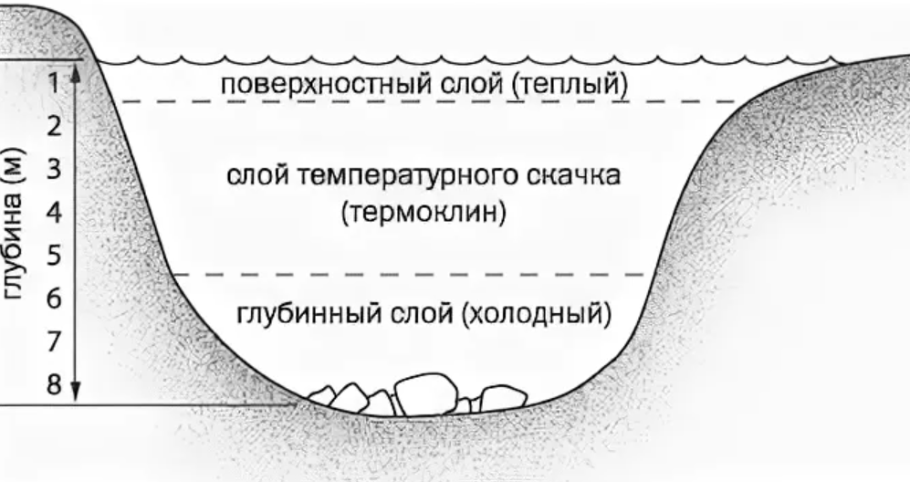 Температурная стратификация воды. Стратификация водоемов. Распределение температуры воды в озере. Сезонный термоклин. Температура воды в пруду