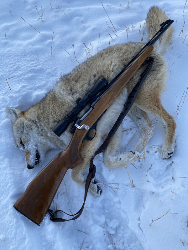 41737B02-7A53-4FBA-8788-EDB63E31E053