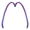https://i.postimg.cc/wvcJSswF/IMG-8365.webp