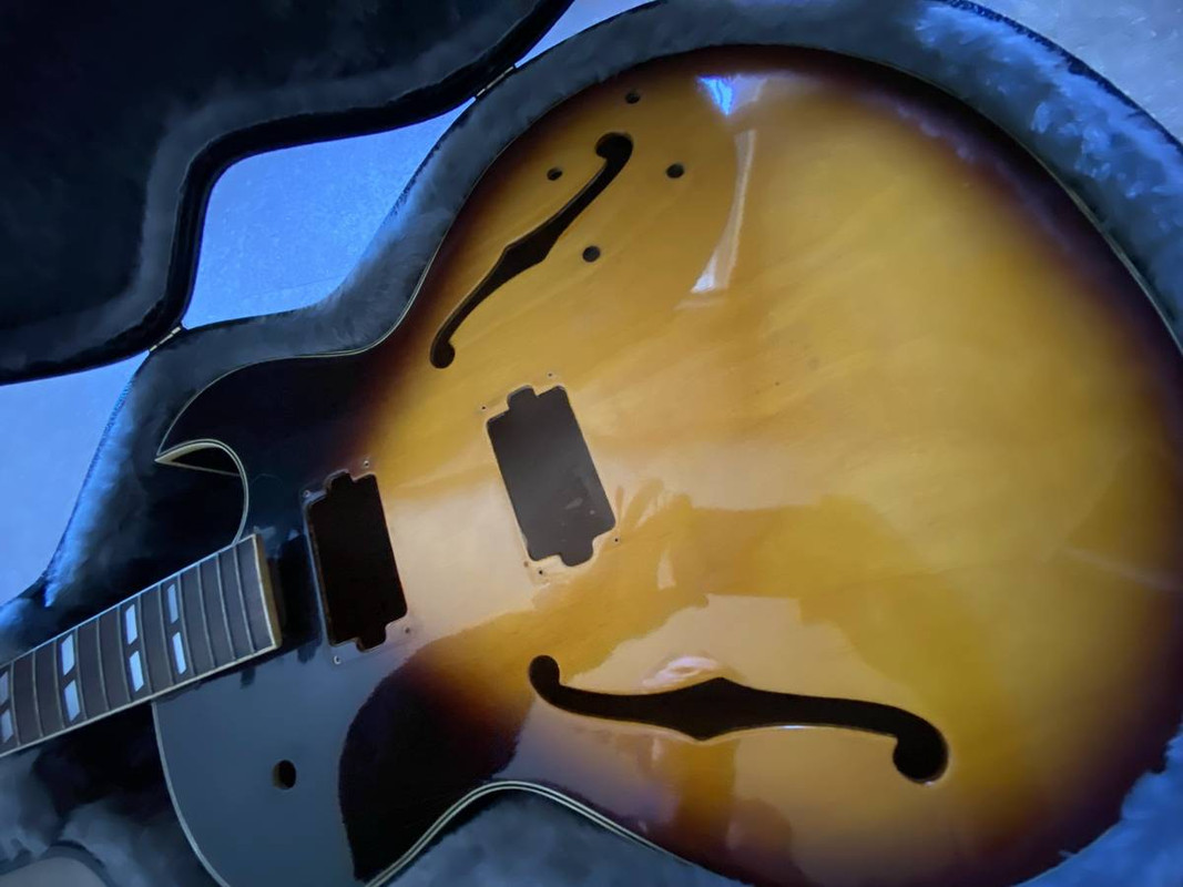 レア　ARIA 500N MIJ JAPAN VINTAGE フルアコ　175 Aria ES | SG Wiki | Fandom