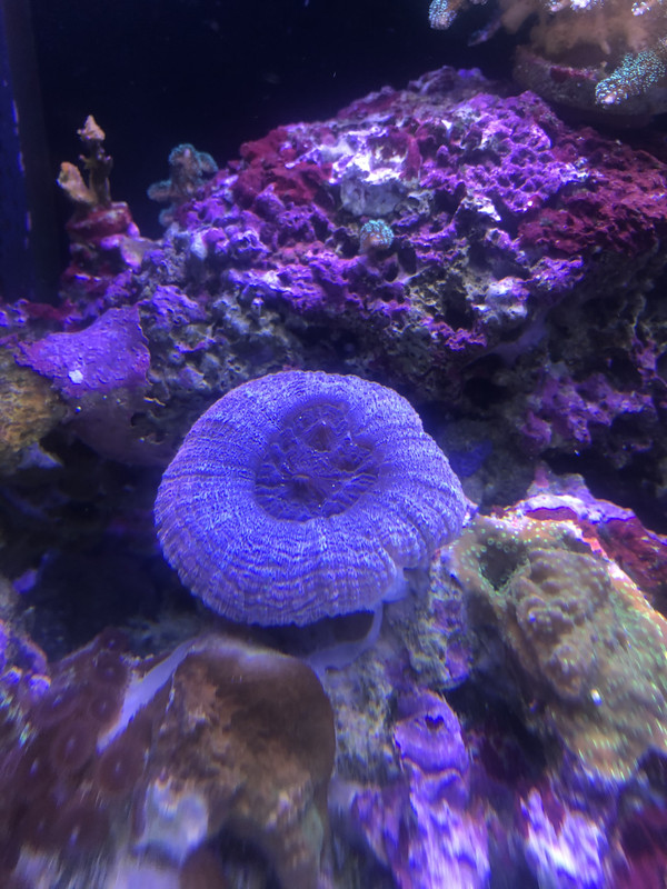 081195E2-35C5-4CCF-9583-2068DFFD2F65