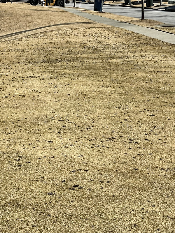 C97AFC2B-C9A6-46B3-B3AD-0B72D453F3EC