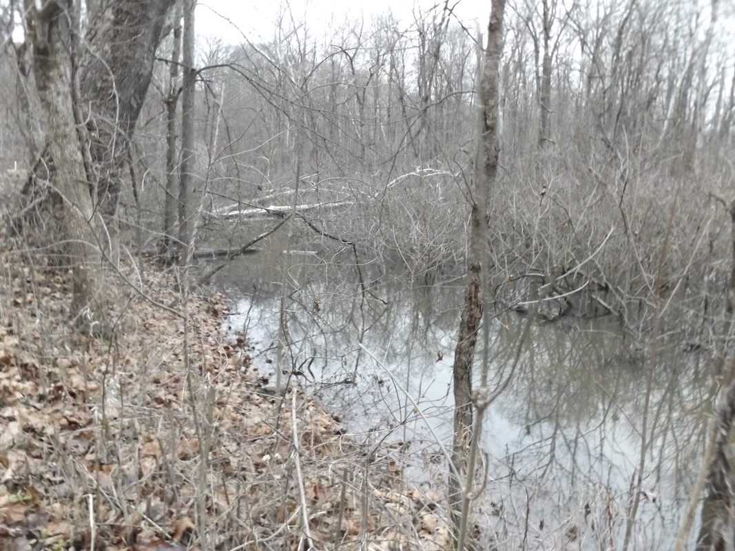 DSCF8329.jpg