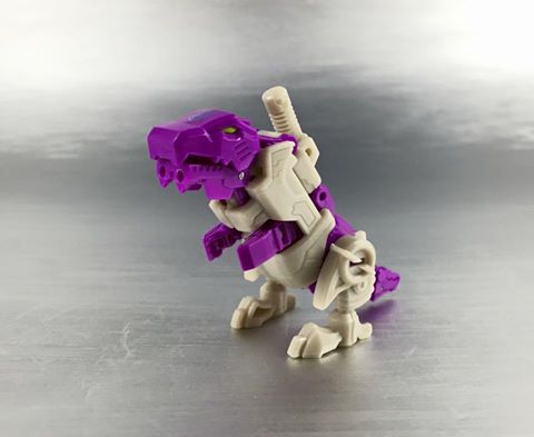 13466022_876018685858871_7904400259465297837_n