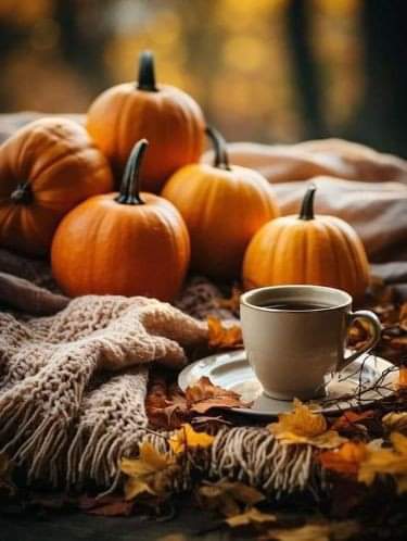 FB_IMG_1728010615361