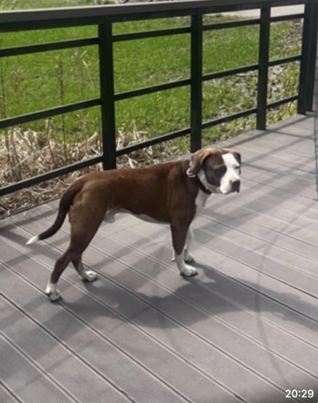 Снимок экрана 2024-04-27 в 09.25.13