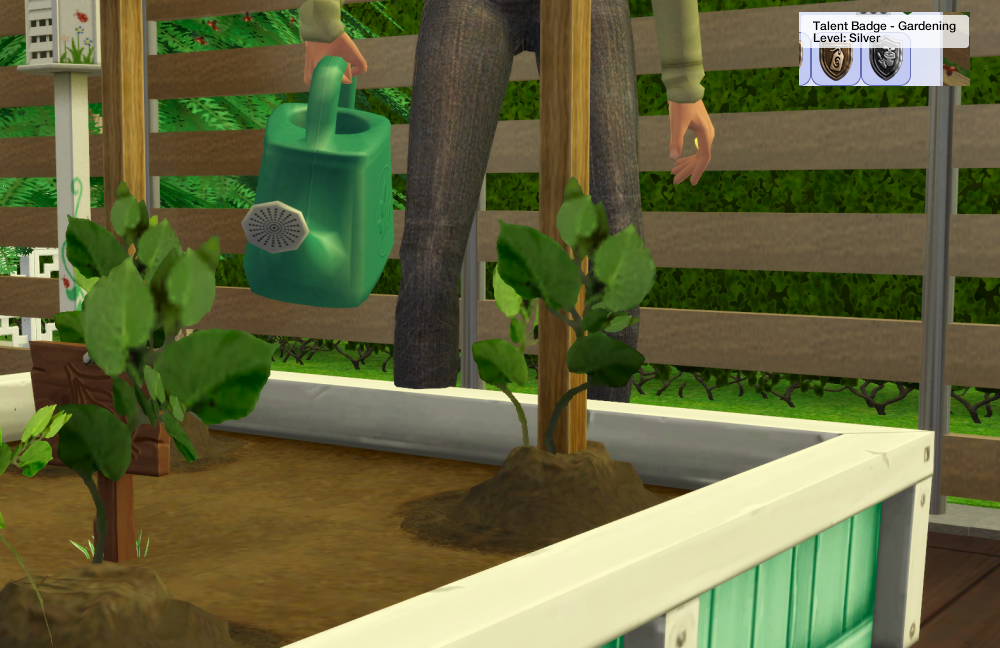 Sims2-EP9-RPC-2021-08-07-18-05-30-94