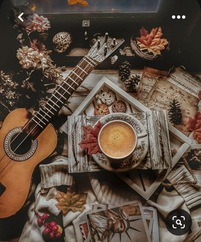 Screenshot_20230808_004653_Pinterest