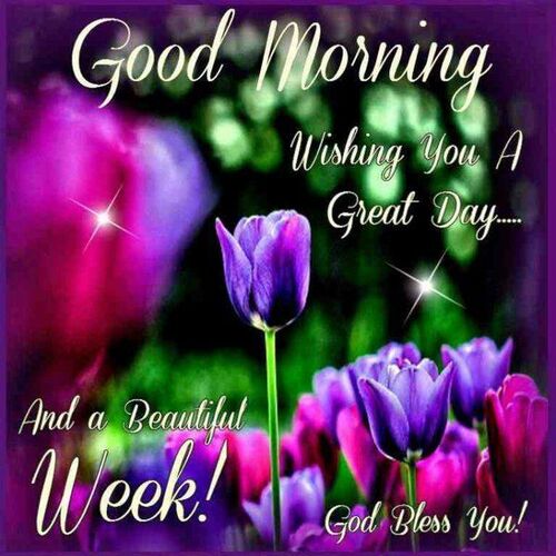 oie-2682922My-DAj-HLN