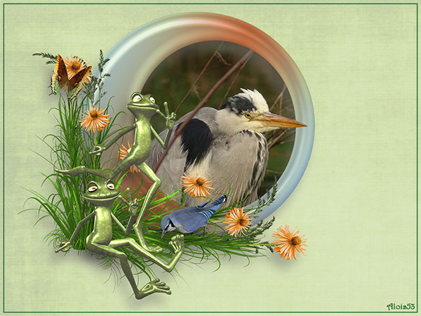 reiger-in-kikker-clust