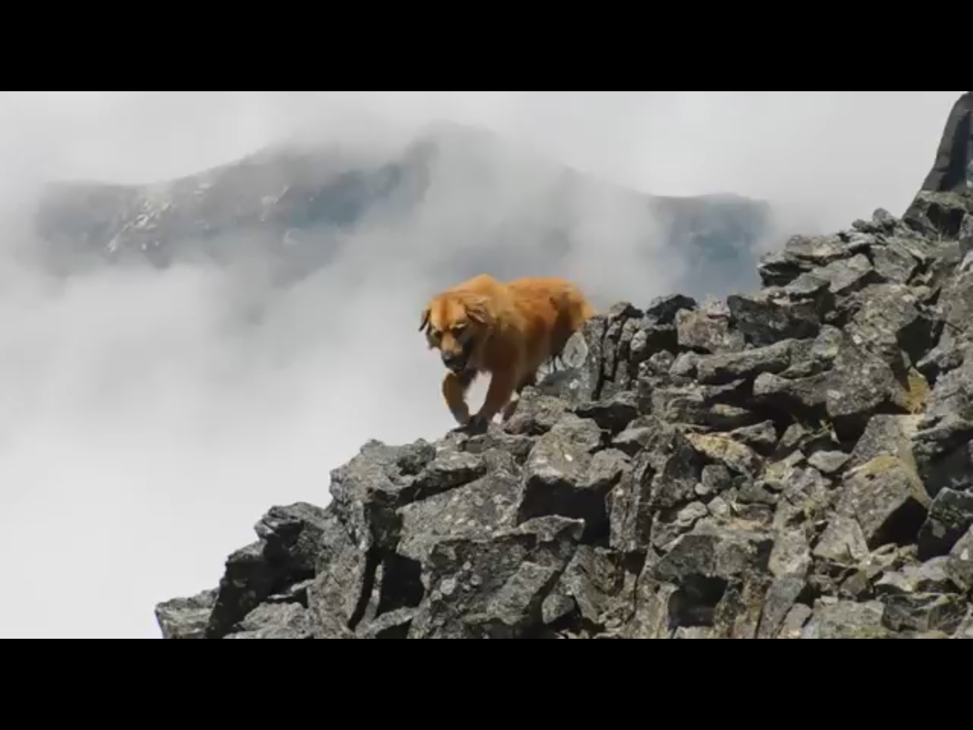 CE46EA35-810D-42DC-BDF0-575AC969ADF5