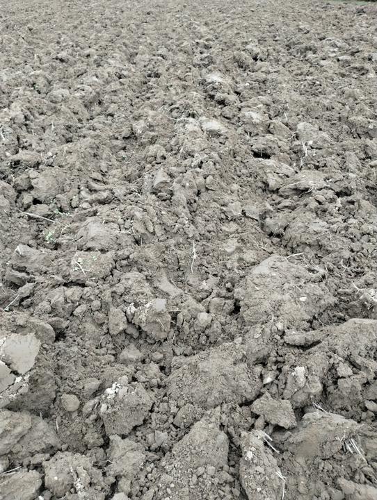 IMG 20251222 115501808