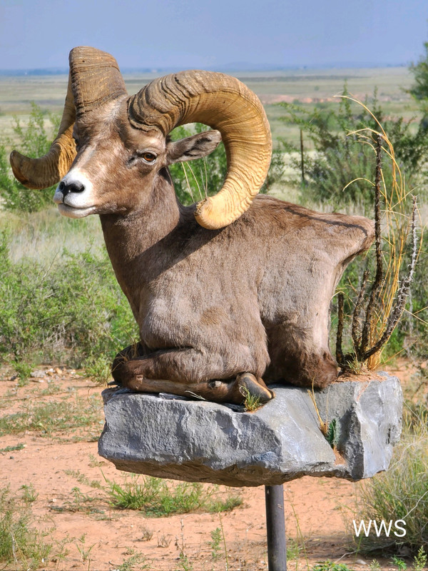 39BE988B-7AE1-447A-A45A-55FCF027DE5F