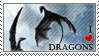 dragons