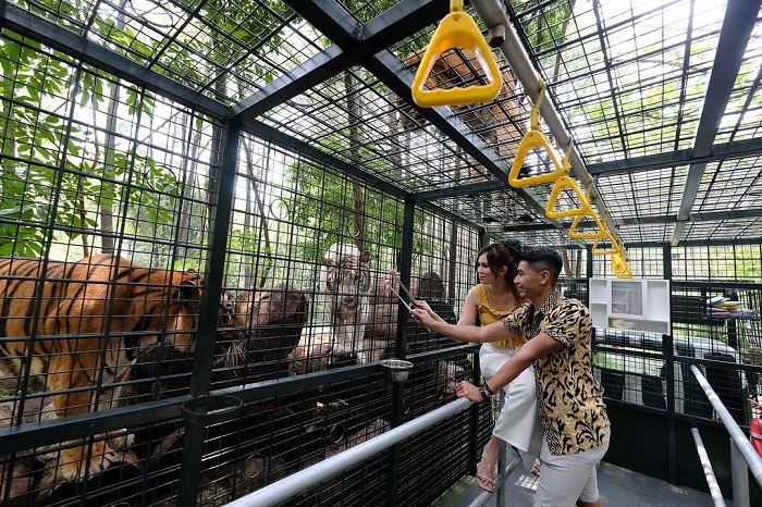 Taman Safari Prigen
