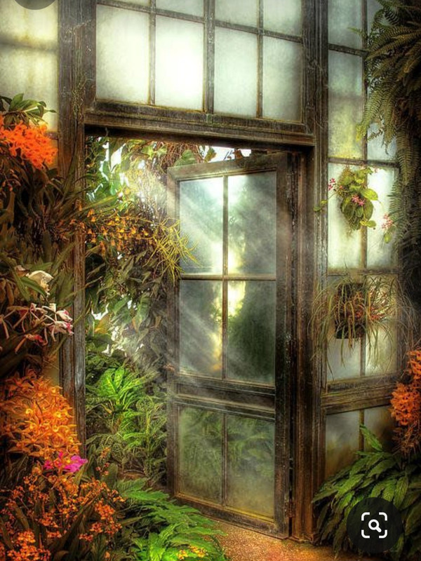 Screenshot_20231128_002446_Pinterest