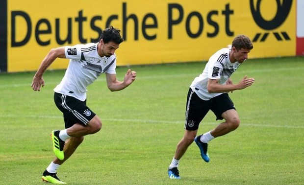 muellerhummels0206.jpg