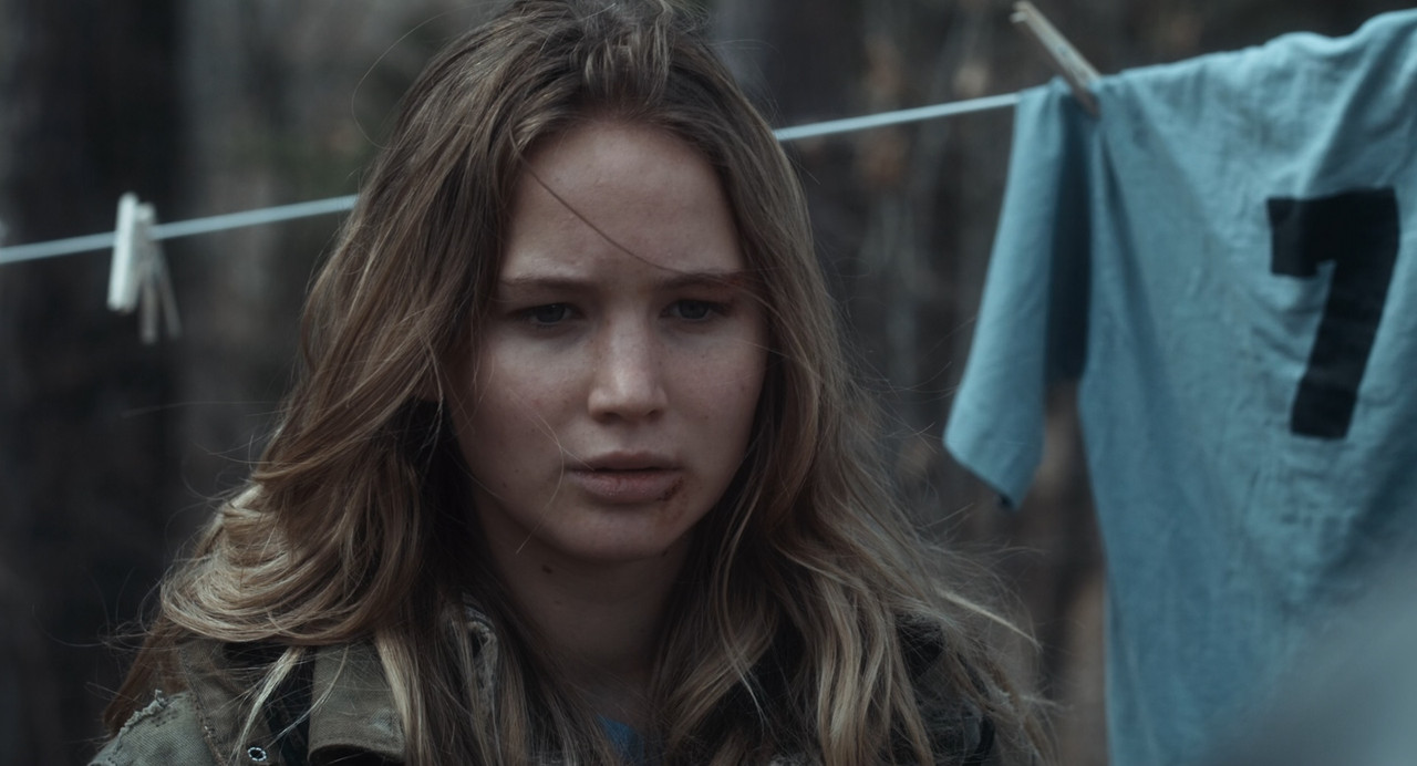 Winter's Bone (2010).mkv_snapshot_01.30.06_[2018.03.22_18.37.17]