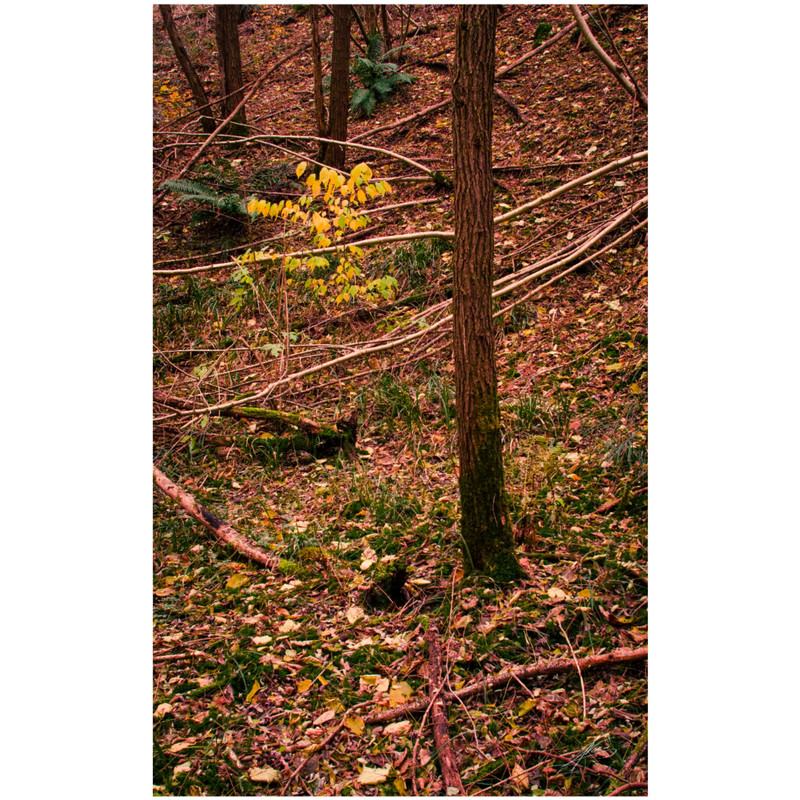 Square Quick 20251122184123929