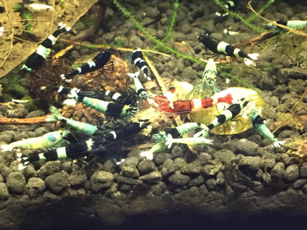 CED9AD46-6D92-4180-9021-D426A5715CB6