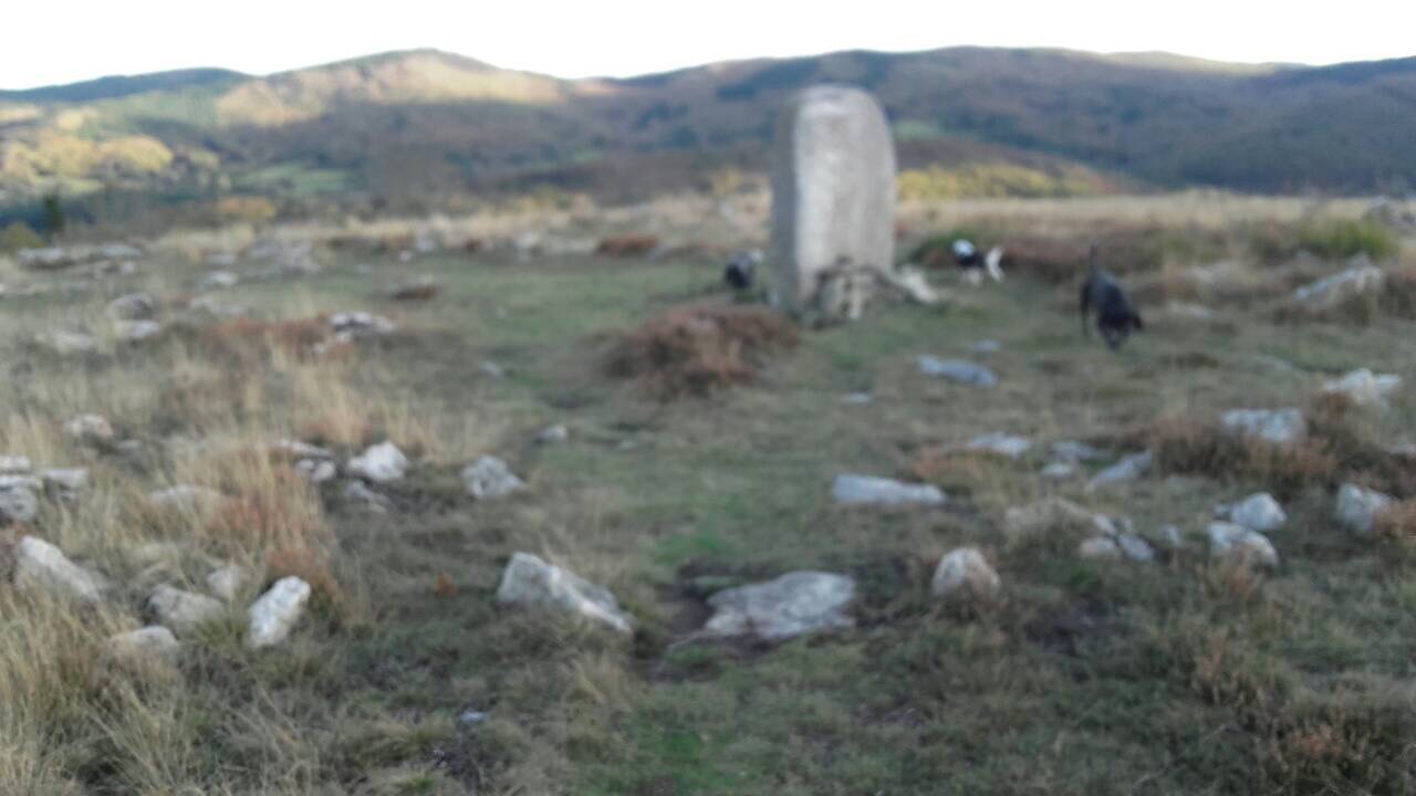 1F021675-FB3A-4E88-82E9-D2B89E37F88C