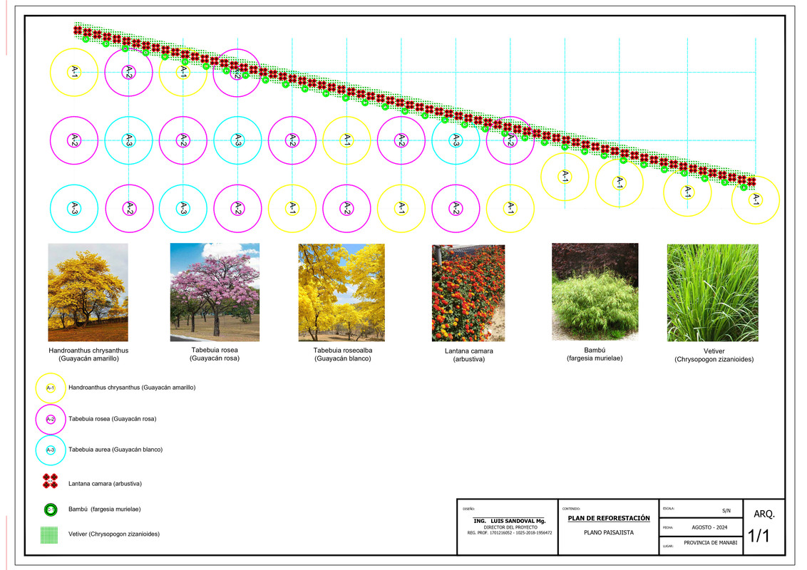 Proyecto Garden, paisajismo y jardinería