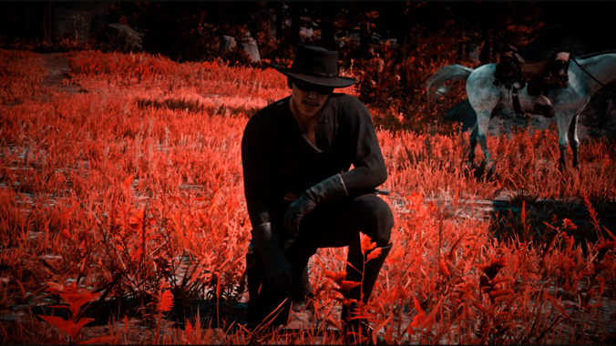 IMG_bb14c87a-feca-4b1a-8cbe-b1bc666a1045