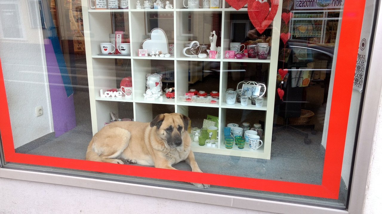 IMG_20170616_173929254