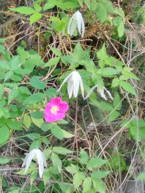 854B3278-2878-47C7-A9AF-53CBEC9DA102