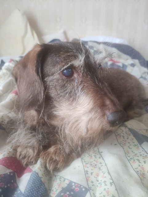 [Image: IMG-20211114-114336.jpg]