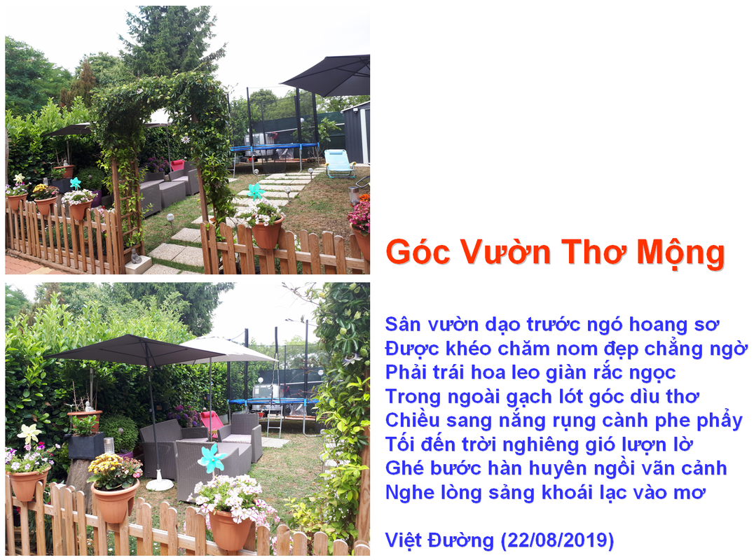 Những Đoá Từ Tâm - Page 66 Goc-Vuon-Tho-Mong-Vntvnd