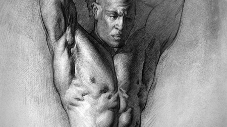 Proko - Anatomy of the Human Body Course by Stan Prokopenko (Torso/Arms/Legs)
