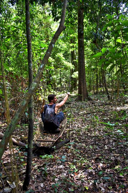 3 SEMANAS EN PERÚ del Amazonas a Machu Picchu 2019 - Blogs de Peru - Día 2. Iquitos Treking, pirañas, sunset y tarantulas (4)