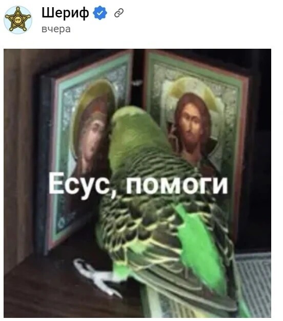 43434434.jpg